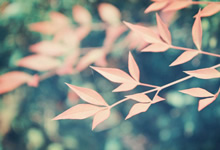 深夜重庆，女按摩师助你焕发第二春
